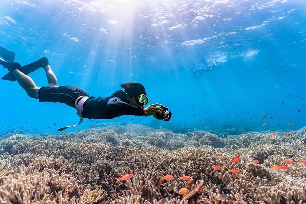 Punta Cana: Island escape to catalina • snorkeling & lunch - The private beach break: white sand, lounge chairs, and real downtime