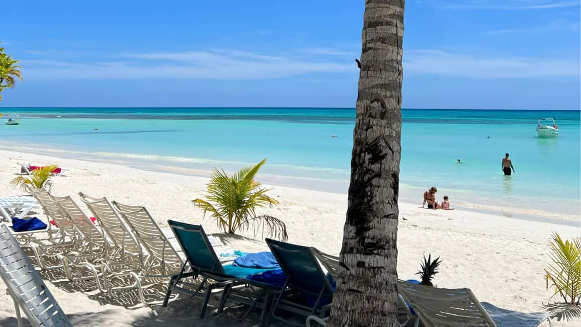 Punta Cana: Island escape to catalina • snorkeling & lunch - The Aquarium snorkeling: what to expect in the reef zone