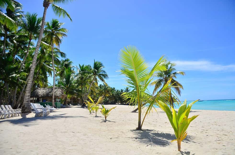 Punta cana: Island Escape to Saona • catamaran & Beach lunch - Higuey and Playa Palmilla Stops: Photos, Breaks, and the Sales-Pressure Variable