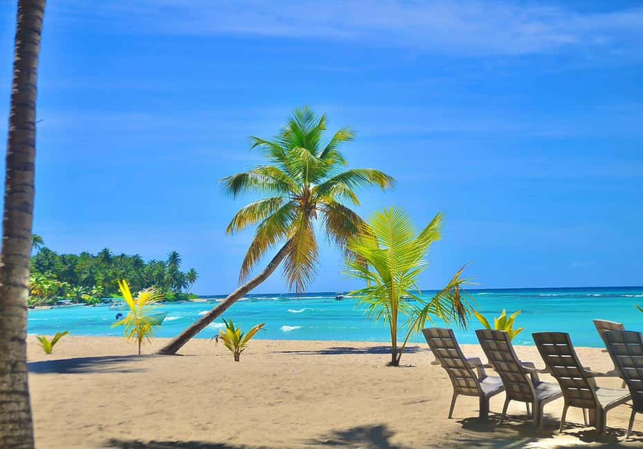 Punta cana: Island Escape to Saona • catamaran & Beach lunch - Saona Island Time on the Beach: Lunch, Shade, and Sea Time
