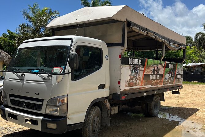 Punta Cana Jungle Buggy Tour: Macao Beach Visit and Cenote Swim - Macao Beach stop: what you can actually do with the time you have