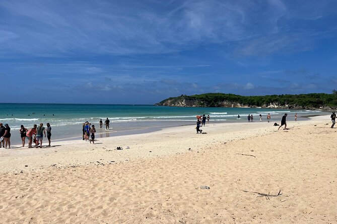 Punta Cana Jungle Buggy Tour: Macao Beach Visit and Cenote Swim - Price and value: is $27 a fair deal for this mix?