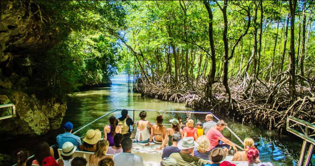 Punta Cana: Los Haitises National Park Full-Day Tour - Los Haitises National Park: More Than a Beach Day From Punta Cana