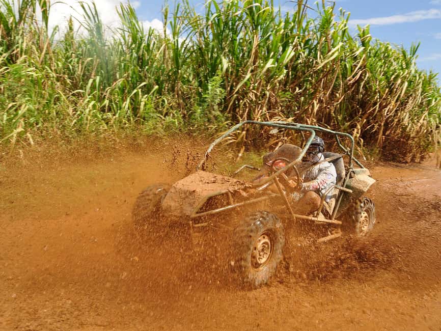 Punta Cana: Macao Beach Buggy Tour - Cocoa and coffee at a typical ranch house: small lesson, big payoff