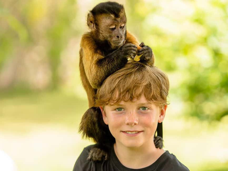 Punta Cana: Monkey Adventure by Jhoraji With Hotel Pick-Up - Hotel Pickup and the Drive In: What the Logistics Feel Like
