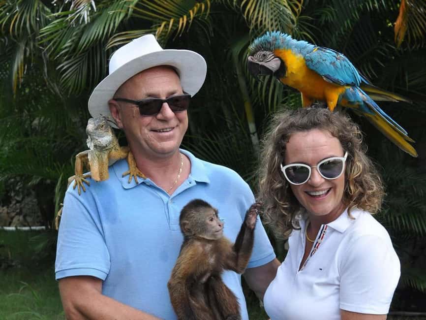Punta Cana: Monkey Houses Private Tour - Monkey House and Parrots Park: What You’re Actually Buying