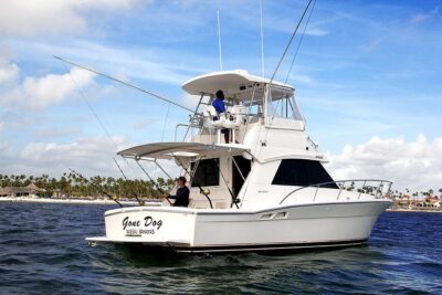 Punta Cana Offshore Deep Sea Fishing Charter - Snorkeling From the Boat: The Best Escape Hatch for Non-Fishers