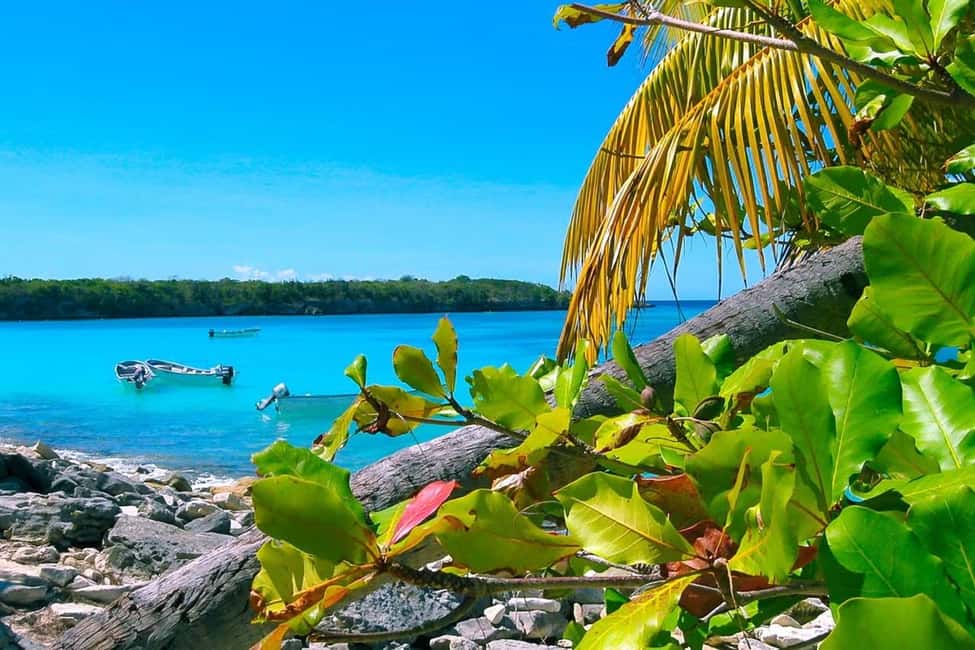 Punta Cana or La Romana: Catalina Island Tour and Snorkeling - The catamaran ride and what it means for comfort