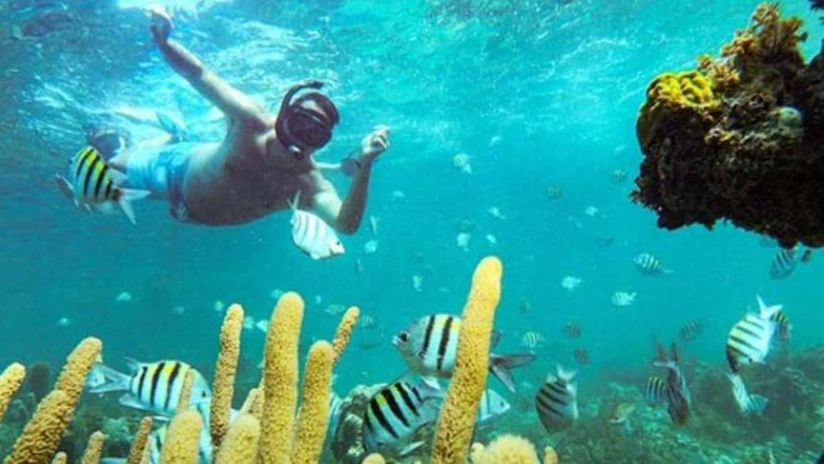 Punta Cana: Party Boat and Snorkeling Adventure - Getting to the catamaran: pickup, timing, and your day flow