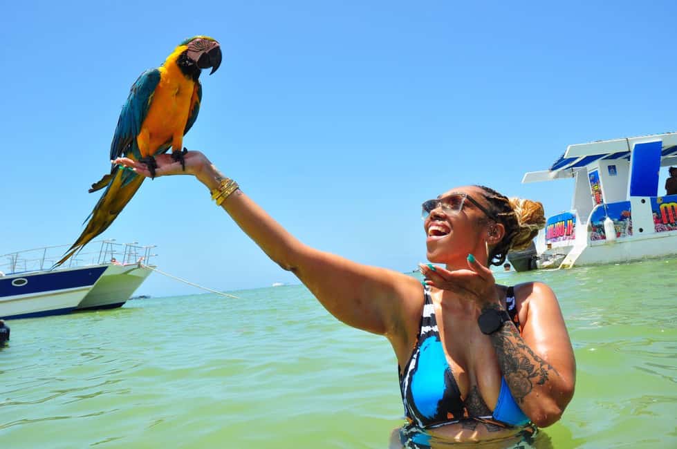 Punta Cana: Party Boat with Snorkeling, Open Bar And Hip Hop - Natural pool stop: the shallow-water breather you’ll want