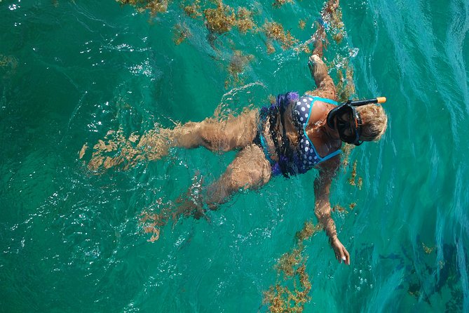 Punta Cana Party Boat:open bar - After snorkeling: dolphins, marine sharks, and the natural pool bar