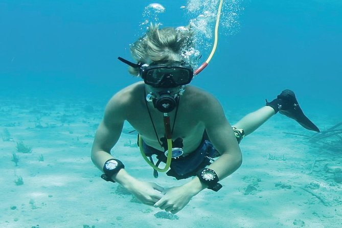 Punta Cana Party Cruise with Snorkeling, Hooka Diving and Parasailing - Snorkeling at Punta Cana Reefs: Gear Provided, Crowds Included