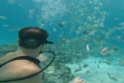 Punta Cana Party Cruise with Snorkeling, Hooka Diving and Parasailing - Hotel Transport, Meeting Point, and How to Stay Calm with Timing