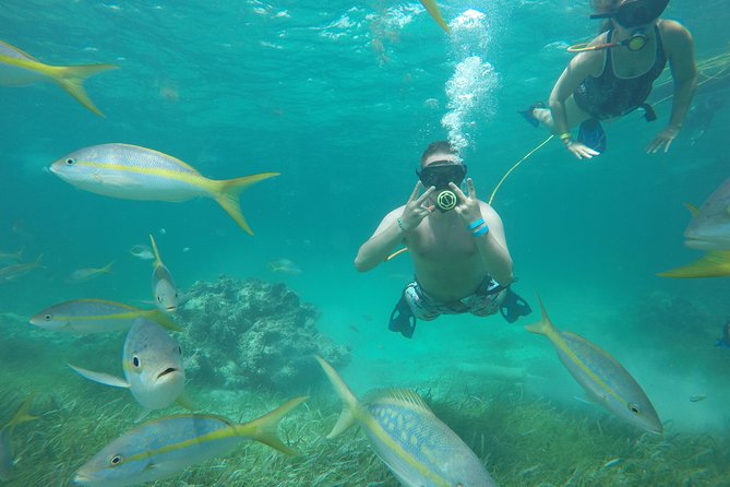 Punta Cana Party Cruise with Snorkeling, Hooka Diving and Parasailing - Hooka Gear Submersion: Beginner-Friendly Setup with Real Breathing Practice