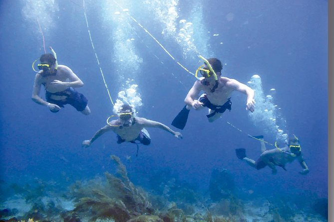 Punta Cana Party Cruise with Snorkeling, Hooka Diving and Parasailing - Value Check: Is $140 Worth It for This Mix?