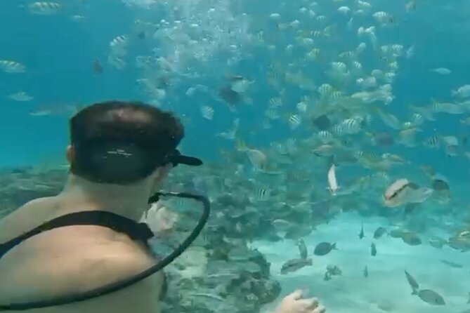 Punta Cana Party Cruise with Snorkeling, Hooka Diving and Parasailing - Hotel Transport, Meeting Point, and How to Stay Calm with Timing