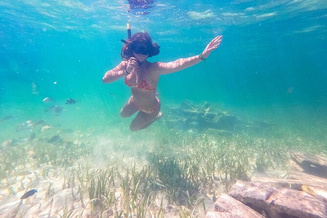 Punta Cana Private Cruise up to 10 people - The Coral Museum Stop: Learning That Makes Snorkeling Better