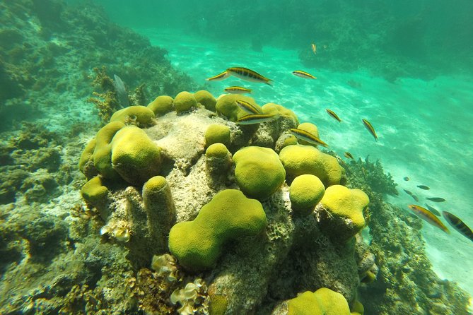 Punta Cana Private Cruise up to 10 people - Photos on Facebook: A Small Perk That Actually Helps