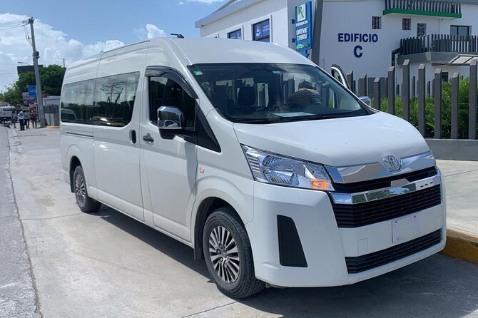 Punta Cana Private Transfer - Private Means Your Group: What That Changes for the Ride