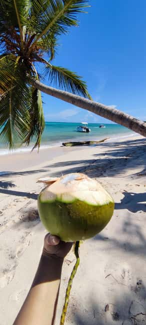 Punta Cana : Private yacht Snorkeling, Lagoon and Wild Beach - What you should bring (and what you won’t get)