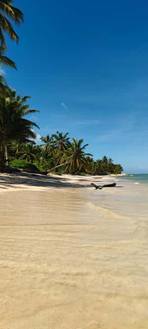 Punta Cana : Private yacht Snorkeling, Lagoon and Wild Beach - Marina Caribe Beach Club and the Jellyfish Beach meet-up