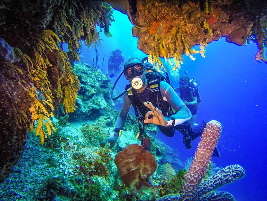 Punta Cana: Reef Diving Adventure Explore Underwater Wonders - Punta Cana coastal reef SCUBA: what makes it worth your time