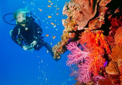 Punta Cana: Reef Diving Adventure Explore Underwater Wonders - Your 5 hours on the schedule: how the day usually feels