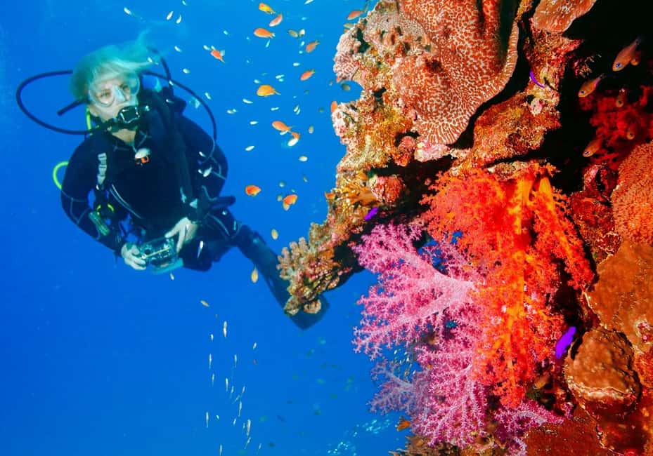 Punta Cana: Reef Diving Adventure Explore Underwater Wonders - Your 5 hours on the schedule: how the day usually feels