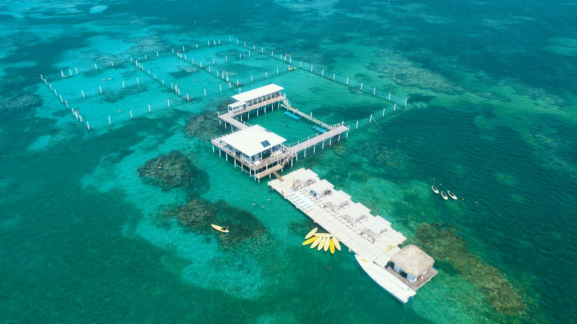 Punta Cana: Reef Explorer Access w/ Sharks & Stingrays Swim - Getting to La Altagracia: pickup, travel, and the pacing