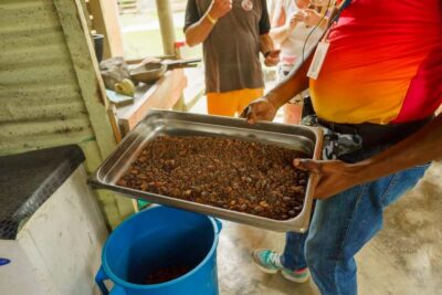Punta Cana safari experience and historical city tour - Getting picked up in Punta Cana (and how the day usually runs)