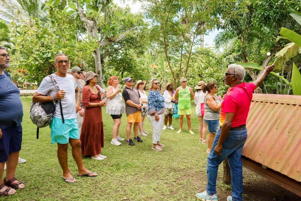 Punta Cana safari experience and historical city tour - Plantation stops: cocoa, sugar cane, and rural production you can see
