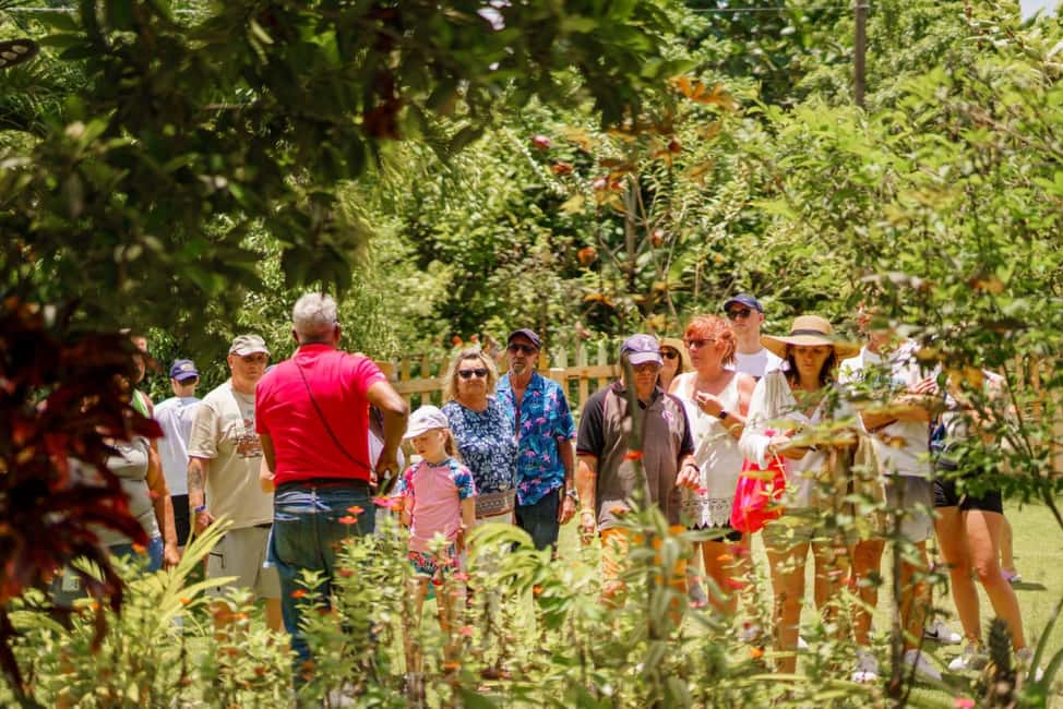 Punta Cana safari experience and historical city tour - Macao Beach: why it’s included and how to time your priorities