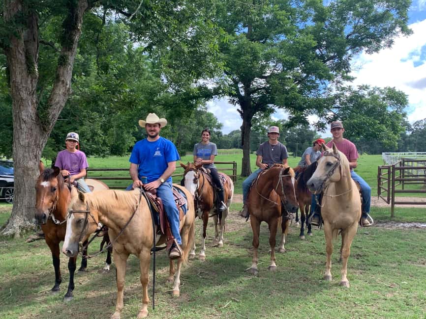 Punta Cana: Samana Bay Full-Day Experience - El Limón Waterfalls: swimming, hiking, or horseback riding