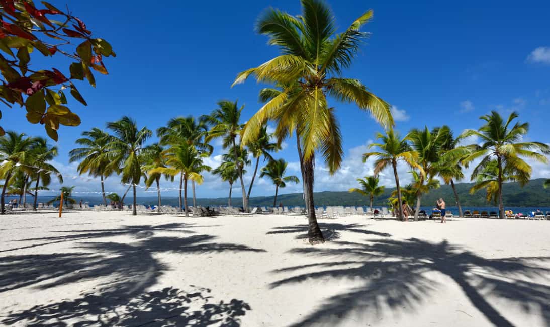 Punta Cana: Samaná Cayo Levantado & El Limón Waterfall Tour - Returning to Punta Cana: timing, drop-offs, and planning your evening