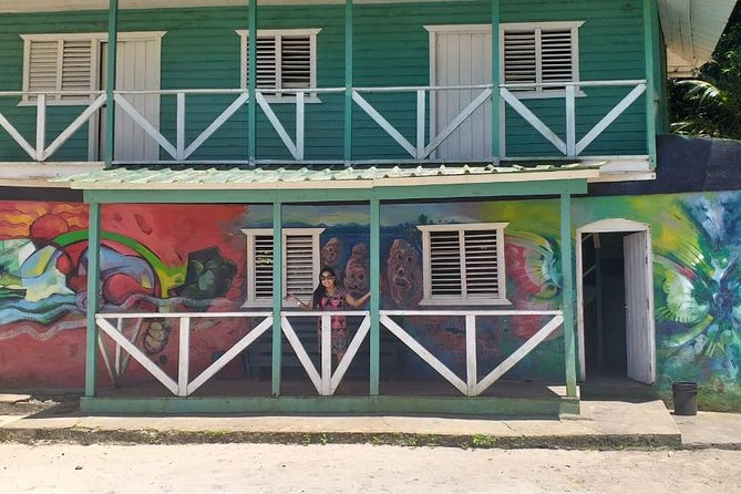 Punta Cana: Samaná, Lemon Falls and Bacardi Island - Samaná mangroves and Taino context: why this part is worth your attention