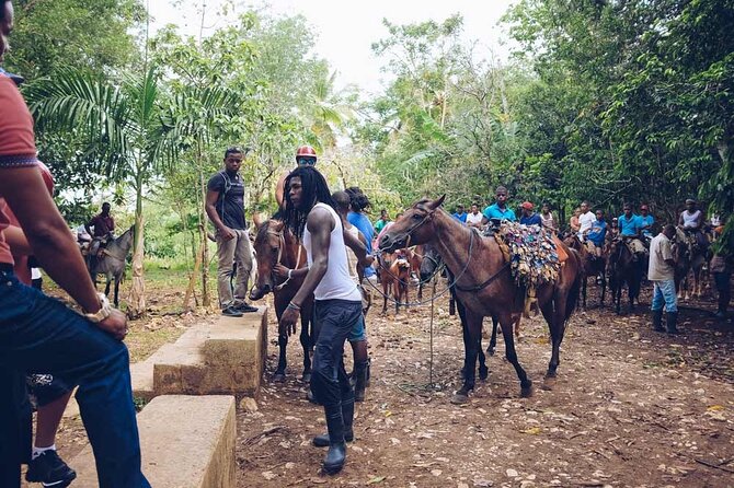 Punta Cana: Samaná, Lemon Falls and Bacardi Island - Lemon Falls: the nature stop, plus a horse-handling reality check
