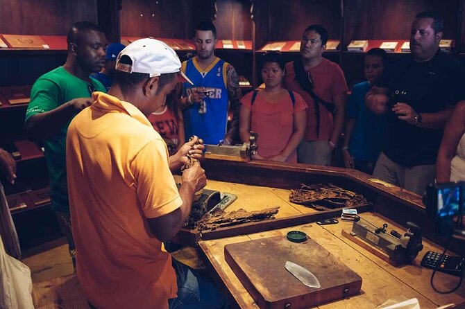 Punta Cana: Samaná, Lemon Falls and Bacardi Island - Who this tour suits best (and who should think twice)