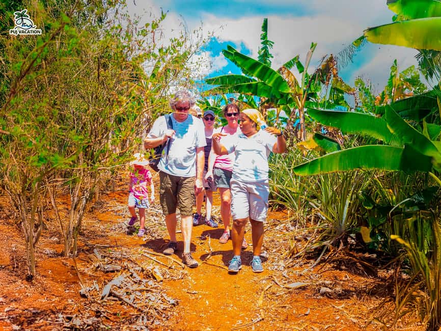 Punta Cana: Samana safari between waterfalls and beaches - Key Points Worth Knowing Before You Go