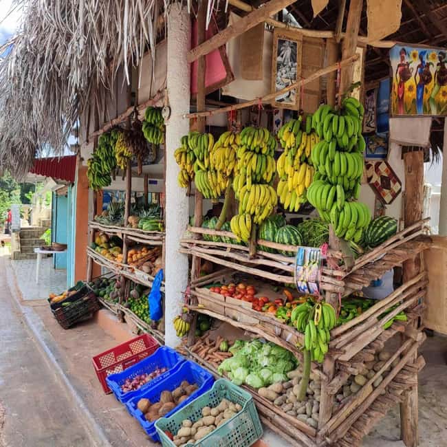 Punta Cana: Samana safari between waterfalls and beaches - A Full-Day Safari From Punta Cana: Early Pickup, Real Getting-There Time