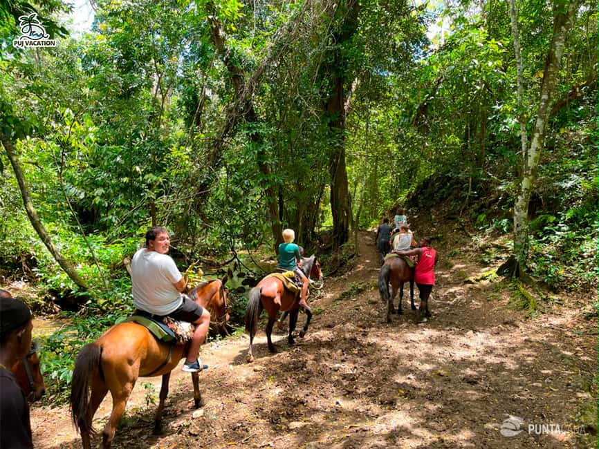 Punta Cana: Samana safari between waterfalls and beaches - El Limón Waterfall: Walking the Trail and Choosing Your Comfort Level