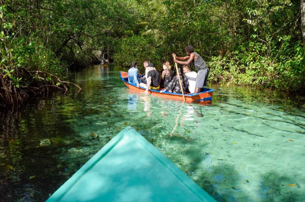 Punta Cana: Samaná Whale Watching and El Limón Day Tour - Key Points Before You Go