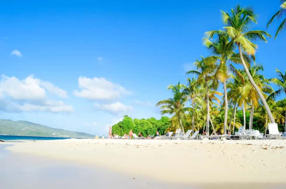 Punta Cana: Samaná Whale Watching and El Limón Day Tour - Samaná Day Trip From Punta Cana: What the Day Really Feels Like