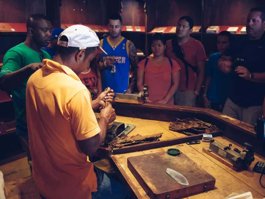 Punta Cana: Samaná Whale Watching and El Limón Day Tour - Guide and Operator: Moises Marte