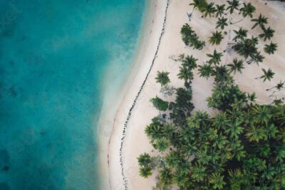 Punta Cana: Samana Whale Watching Cruise - Getting From Punta Cana to Sabana de La Mar: The Part That Sets Expectations