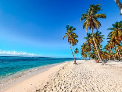 Punta Cana: Saona Crusoe VIP - From SeavisTours to Cotubanamá National Park: the ride that sets the mood