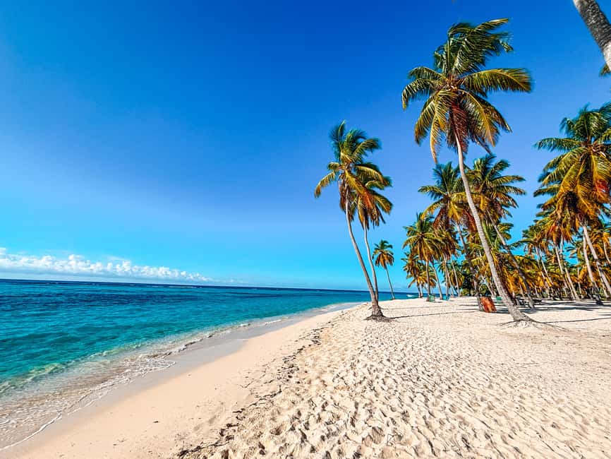 Punta Cana: Saona Crusoe VIP - From SeavisTours to Cotubanamá National Park: the ride that sets the mood