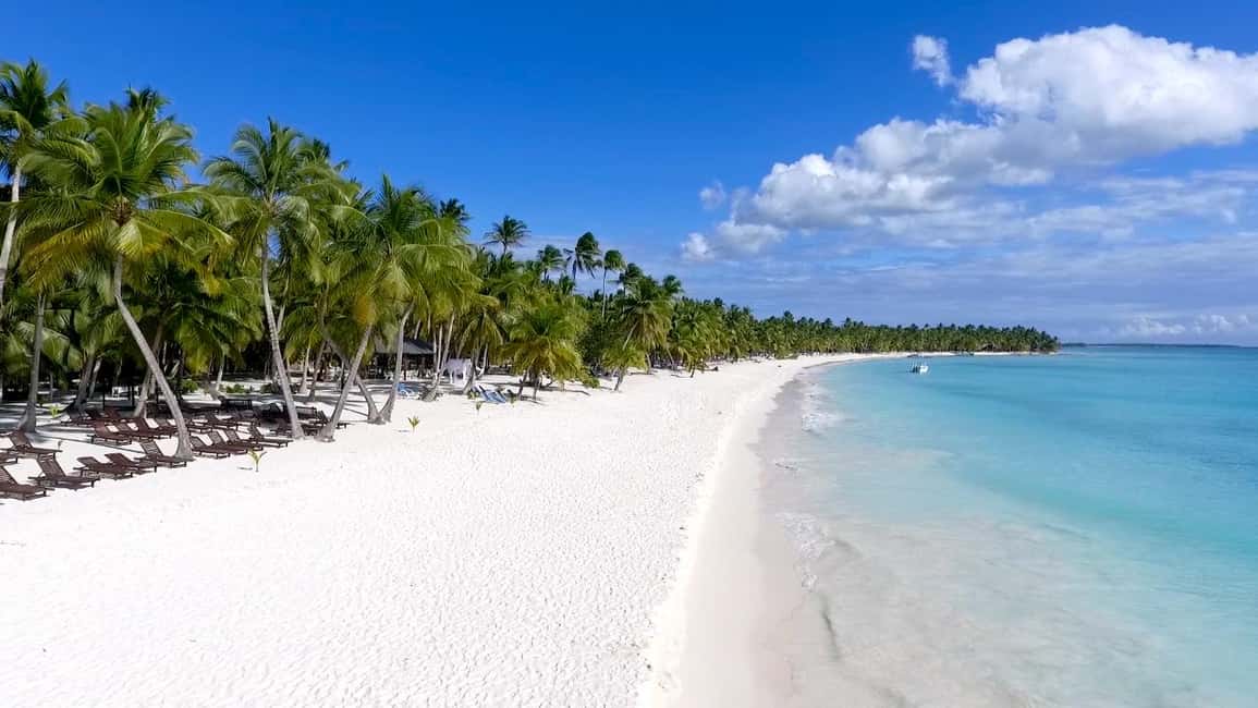 Punta Cana: Saona Islan Full Day With Catamaran and buffet - Price and value: what $63 buys you for a full-day island escape