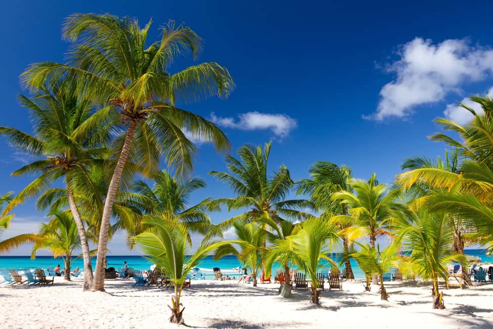 Punta Cana: Saona Island Catamaran Adventure with Lunch - Key things to know before you go