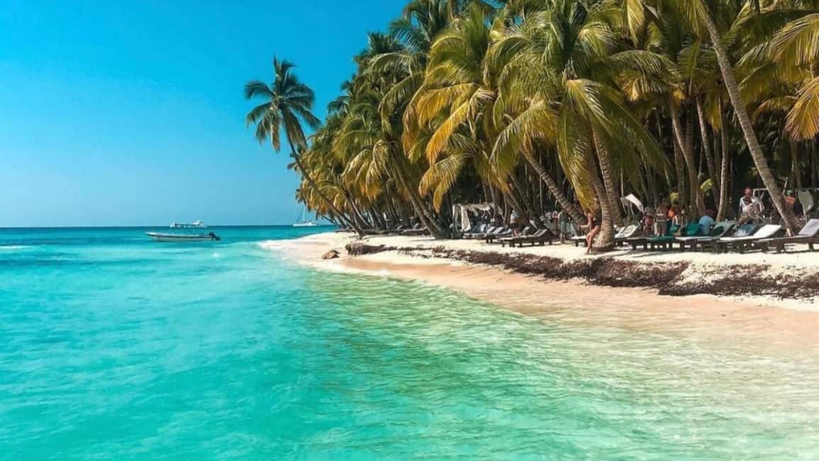 Punta Cana: Saona Island Catamaran Food Drink With Transport - Price and Value at $72 Per Person: Is It a Good Deal?