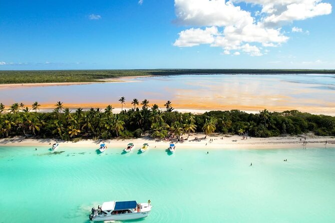 Punta Cana: Saona Island Catamaran Open Bar / Food Hotel Pickup - Natural Pool Stop: Starfish Spotting in Clear Shallow Water
